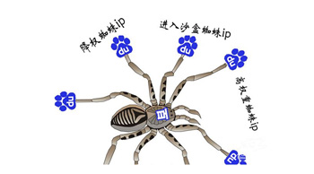 百度蜘蛛是什么？