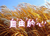 如何加快網(wǎng)站的訪問(wèn)速度？